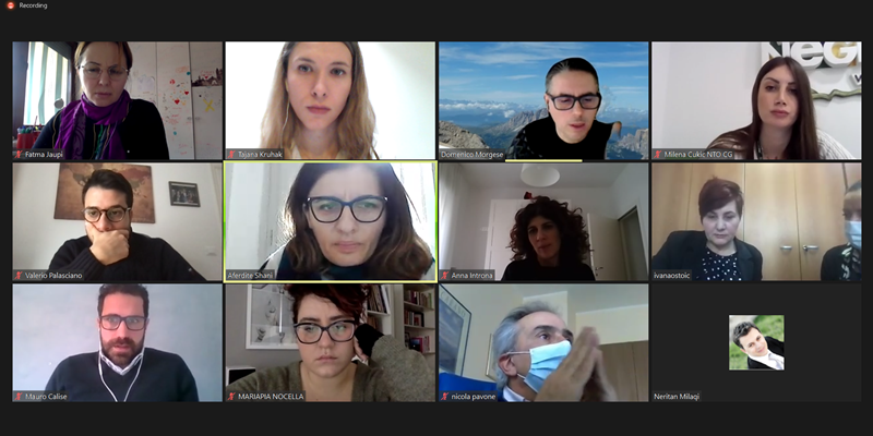 Screenshot from the project meeting