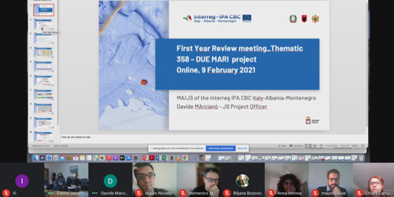 Screenshot of the first-year review meeting