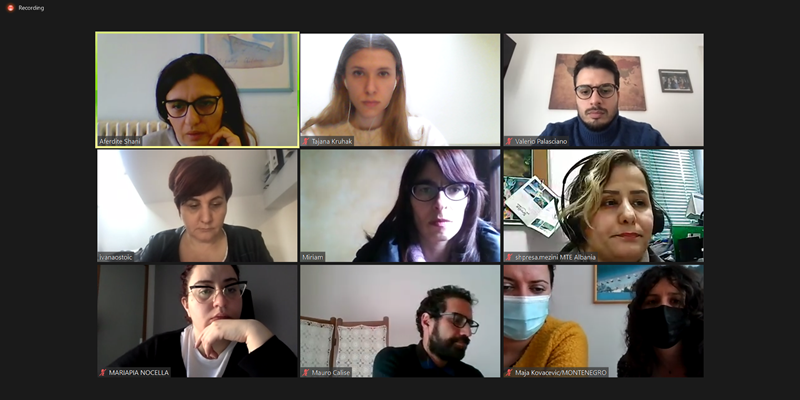 Screenshot from the project meeting