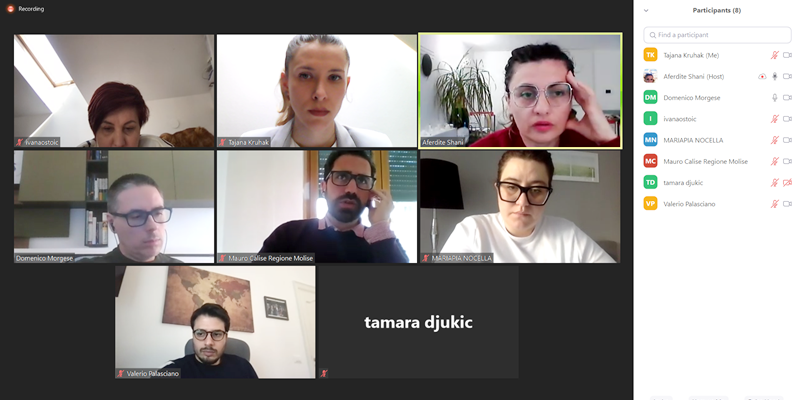 Screenshot from the project meeting