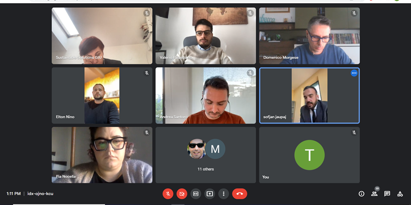 Screenshot from the online meeting