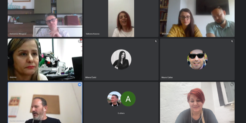 Screenshot from the online meeting