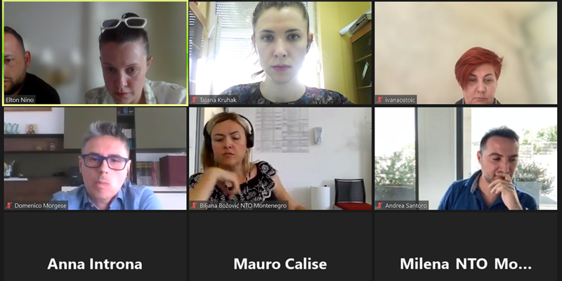 Screenshot from the online meeting