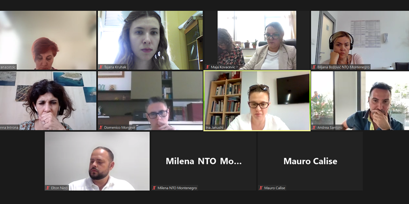 Screenshot of the online project meeting