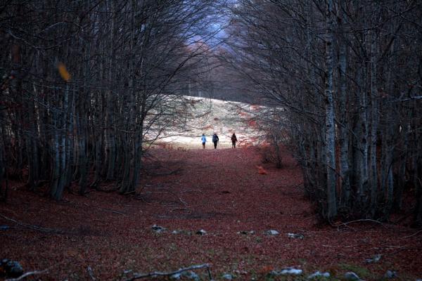 Pathway Mountain landscape, Kelmendi, North Albania (Photo by: MoTE)