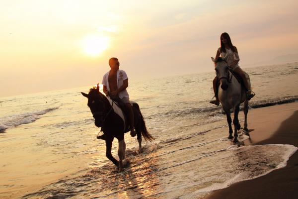 Ada Bojana - horse riding (Montenegro) (Photo by: NTOMNE)
