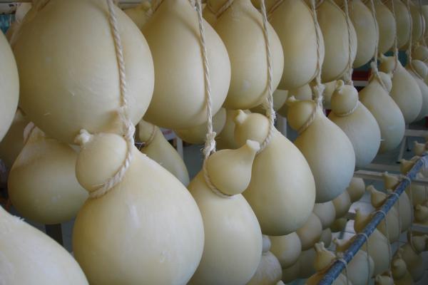  The typical Molise cheese, Caciocavallo (Italy) (Photo by: MOLISE REGION)